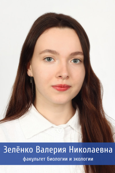 Зелёнко 17обработано